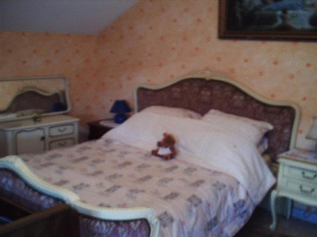 Chez Josephine Bed and Breakfast Metting Værelse billede